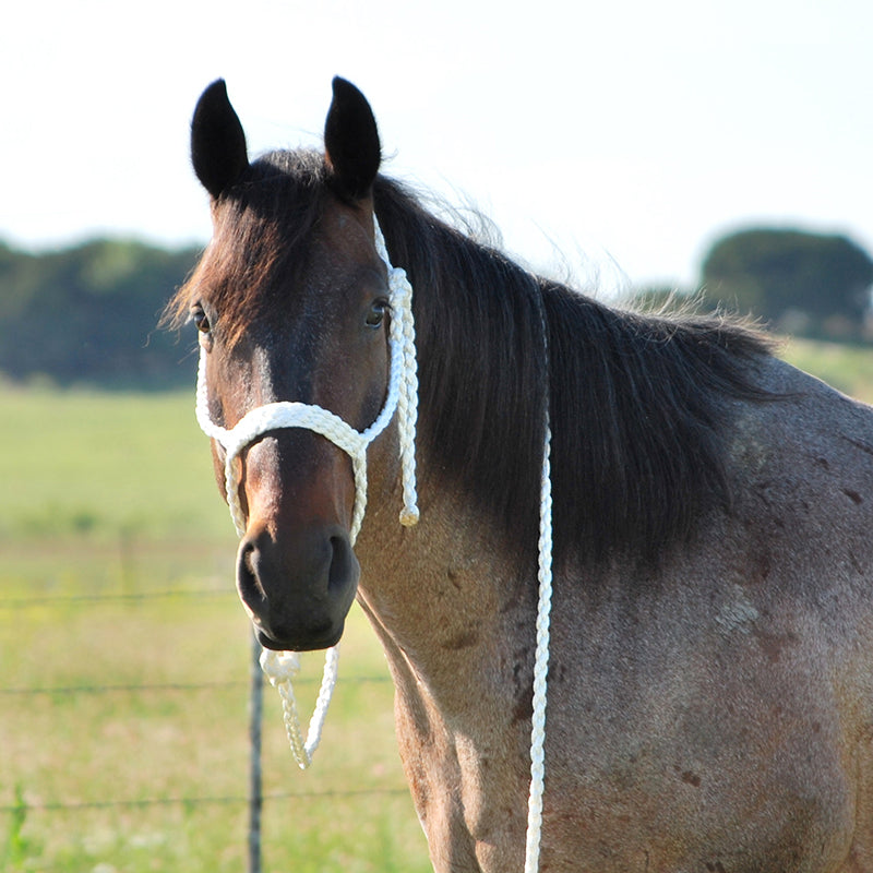 Braided Halter Hand Made