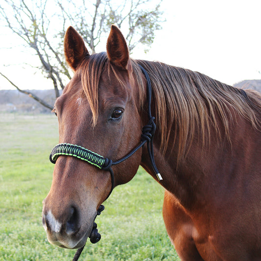 Black / Neon Rope Halter with Lead