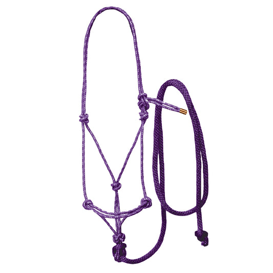 Rope Halter with Lead