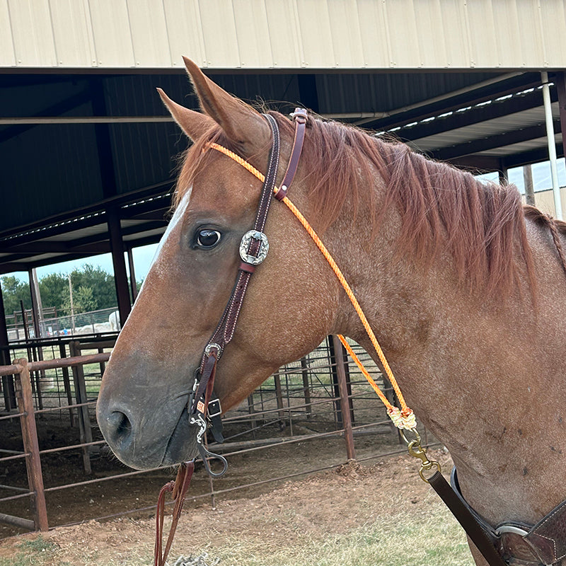 Fast Back Nylon Rope Head Setter Fast Back Ropes