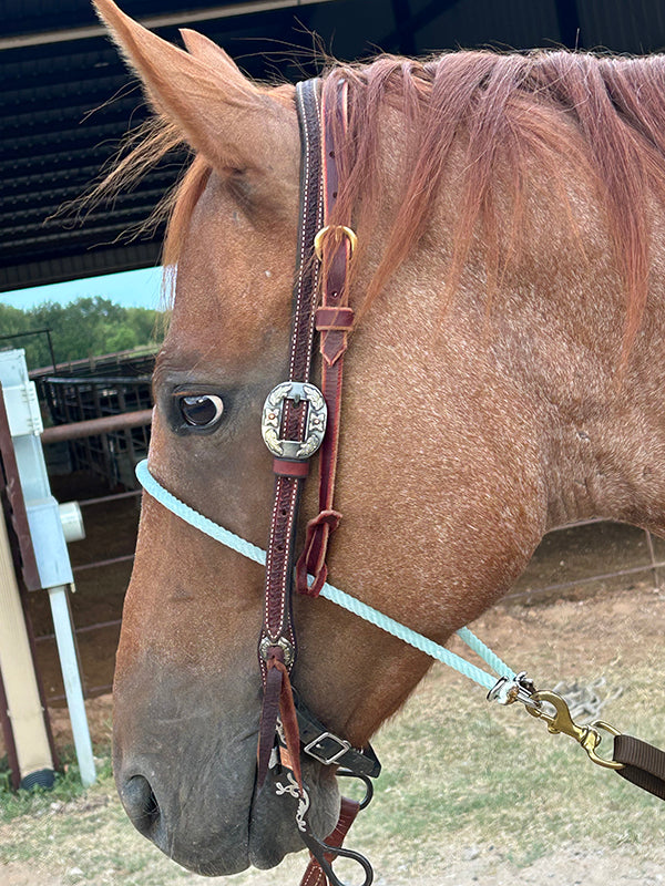 Fast Back Tie Down – Fast Back Ropes