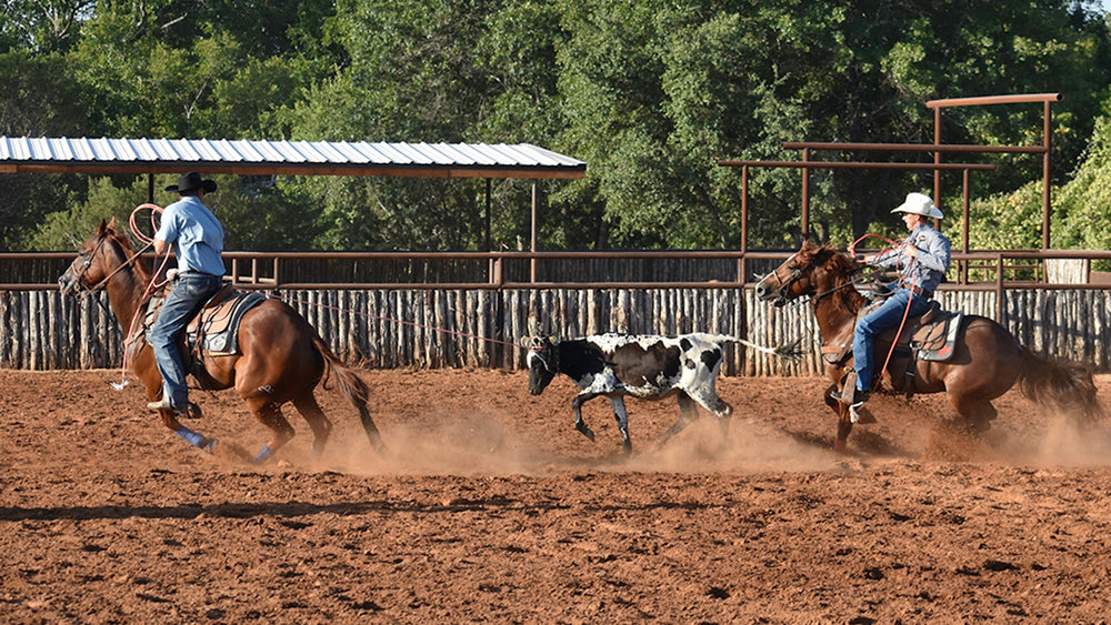 Fast Back Ropes, Inc.