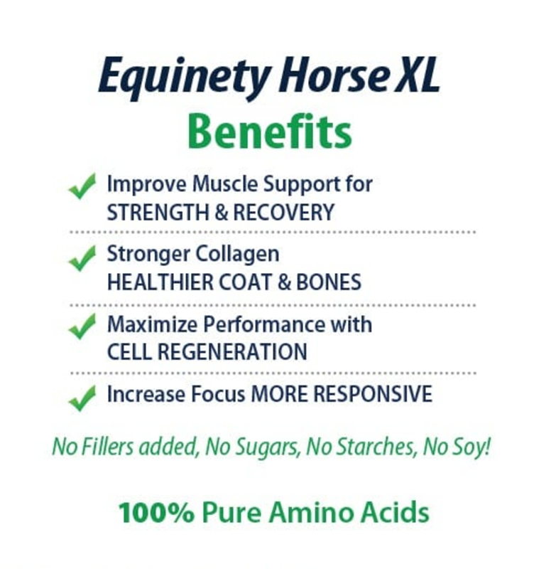 HORSE XL Fast Back Ropes